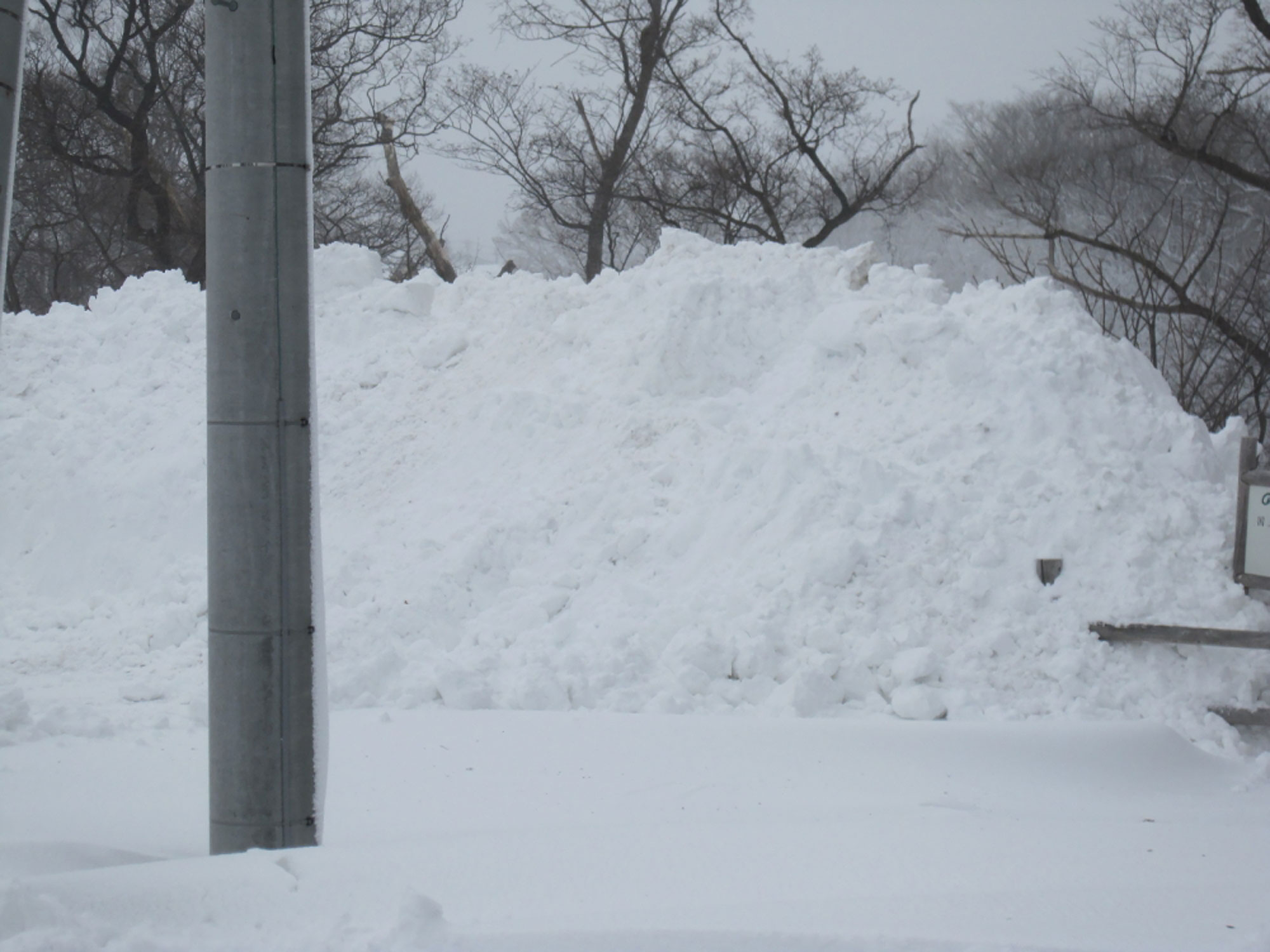 雪山がだいぶん大きくなる - - -