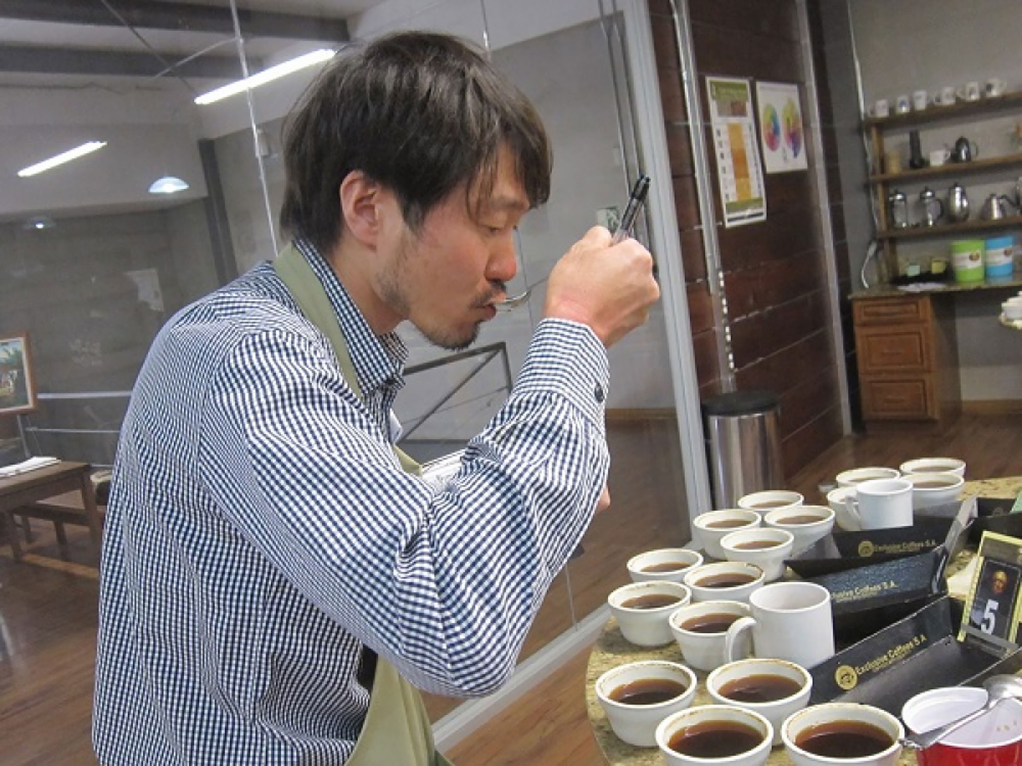 各農園、その他いろいろとカッピング - - -
