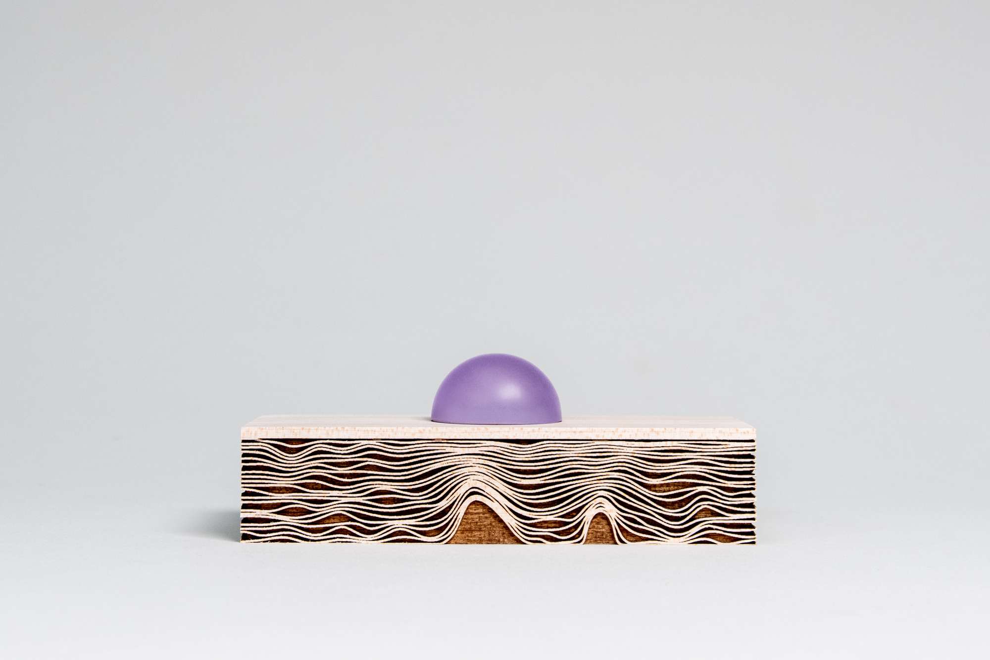 NL Pavilion gift