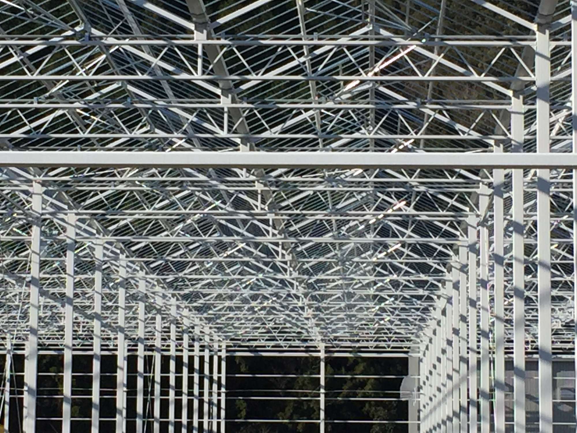 オランダ式パプリカ栽培ガラス温室 - Elevated cultivation of pepper greenhouse in Kochi prefecture