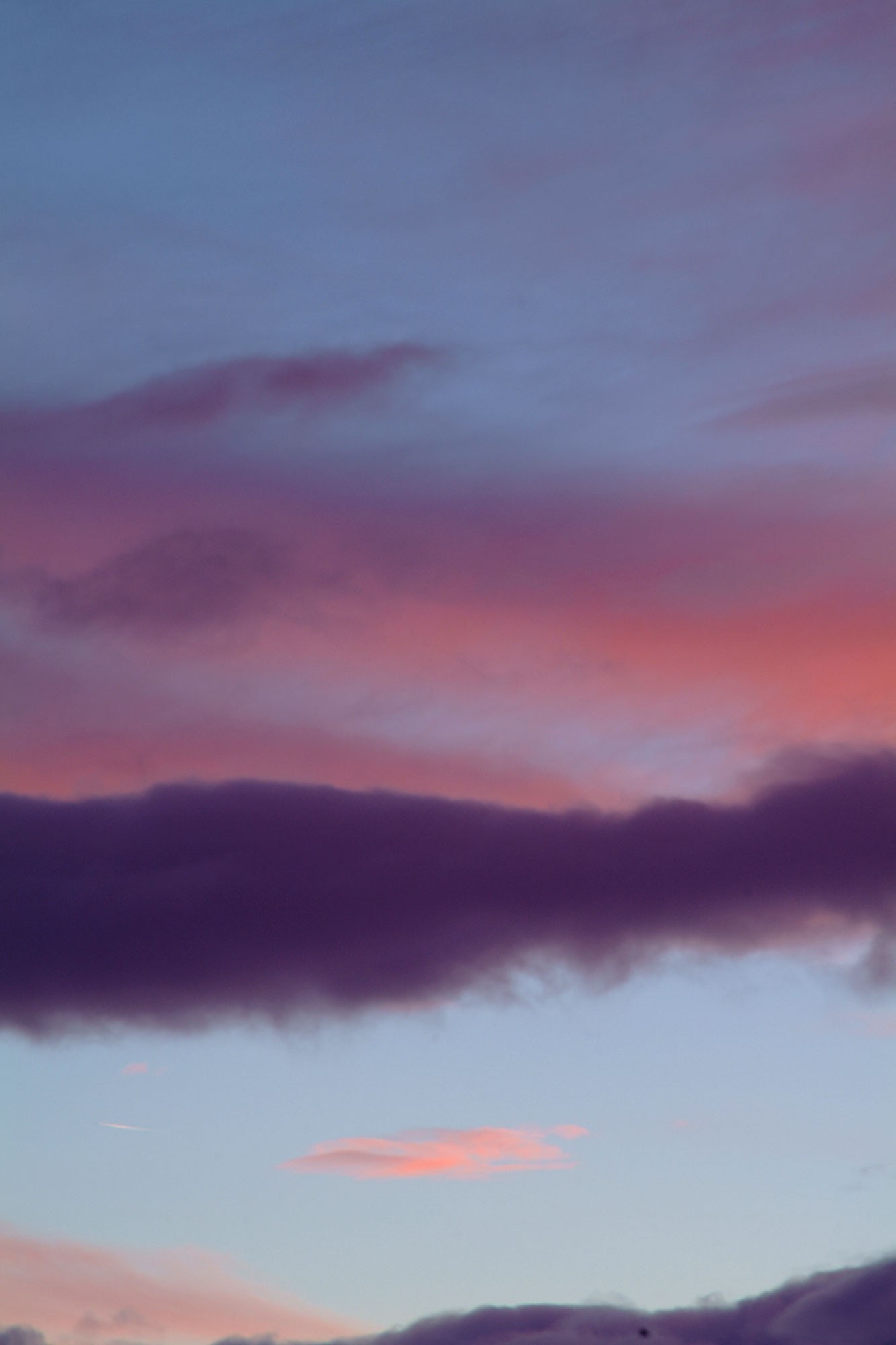 040117, 040124, 041217