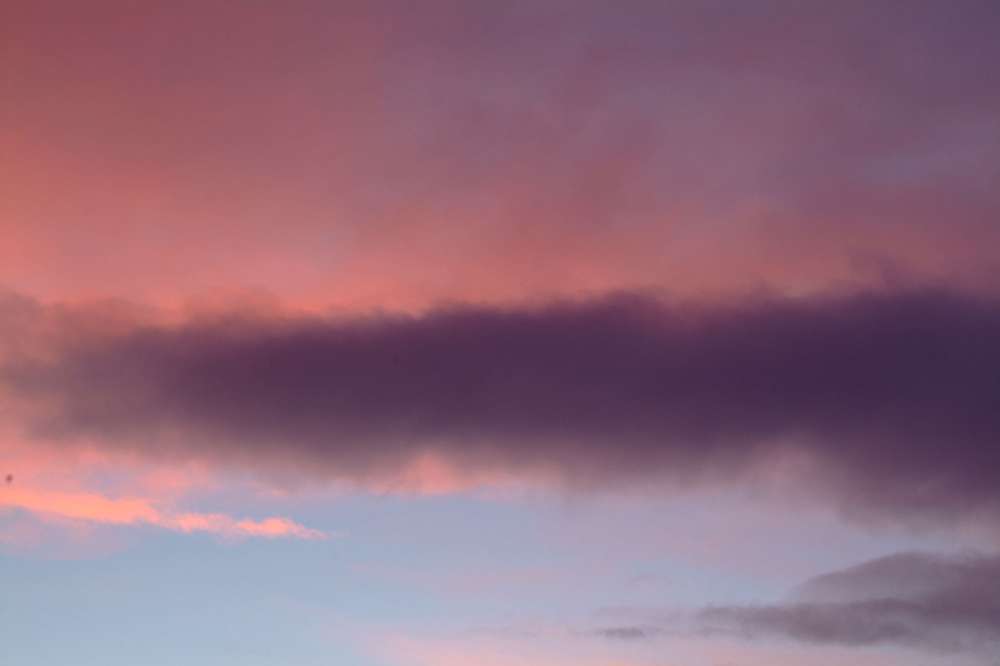 040117, 040124, 041217