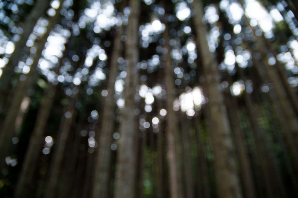 080921, 090506, 100322