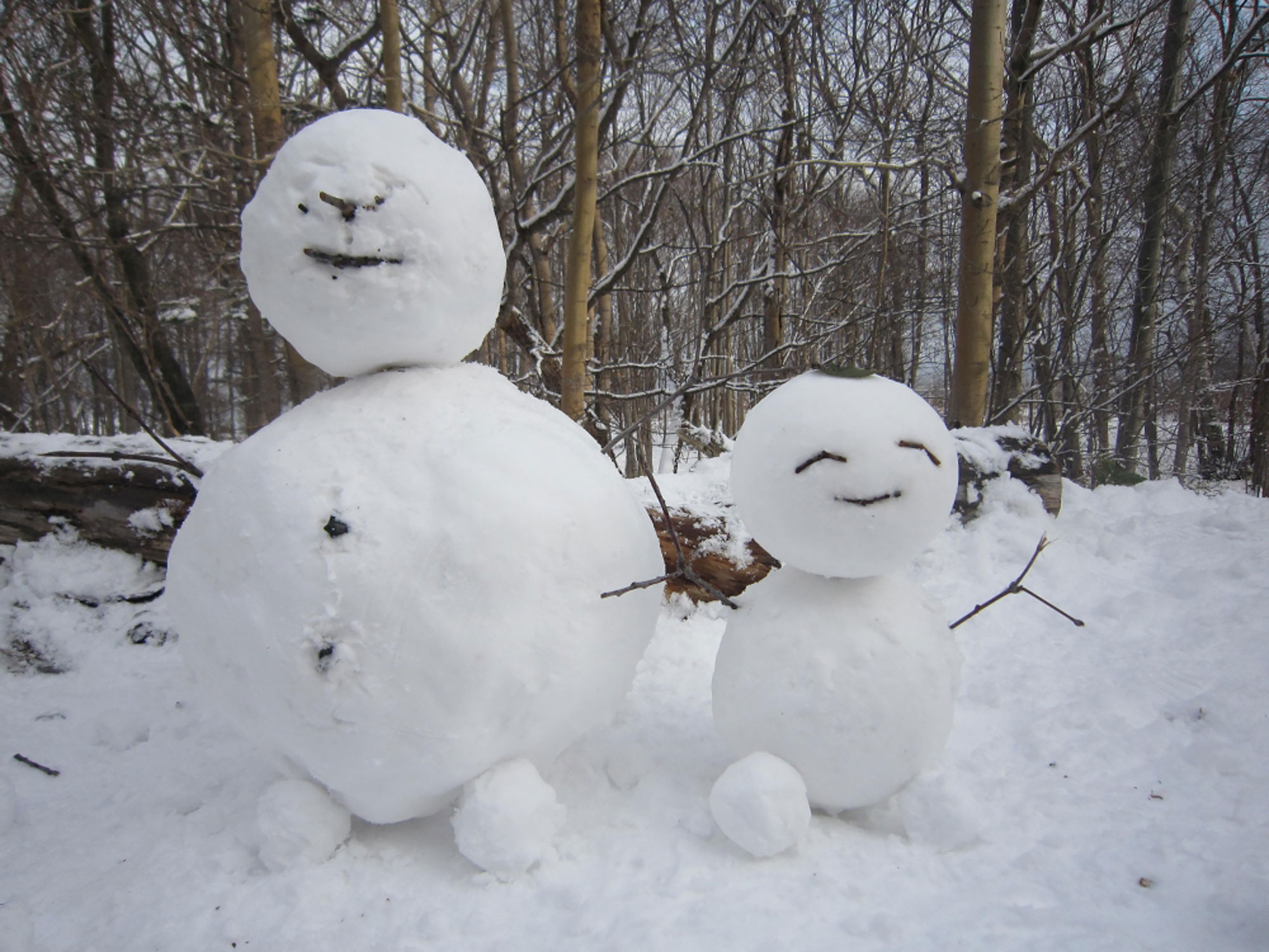 子ども達が作った雪だるま - - -
