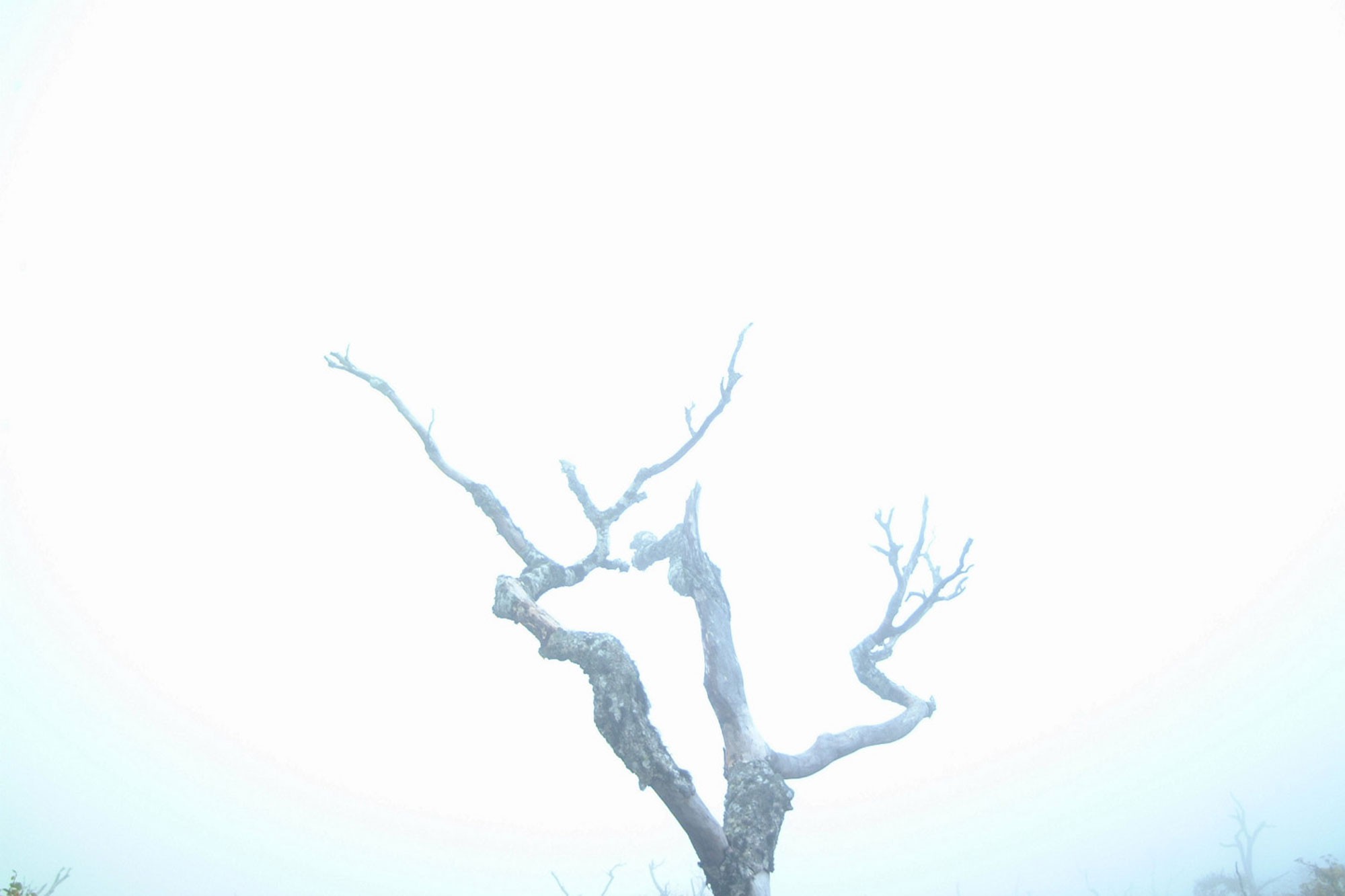 031012