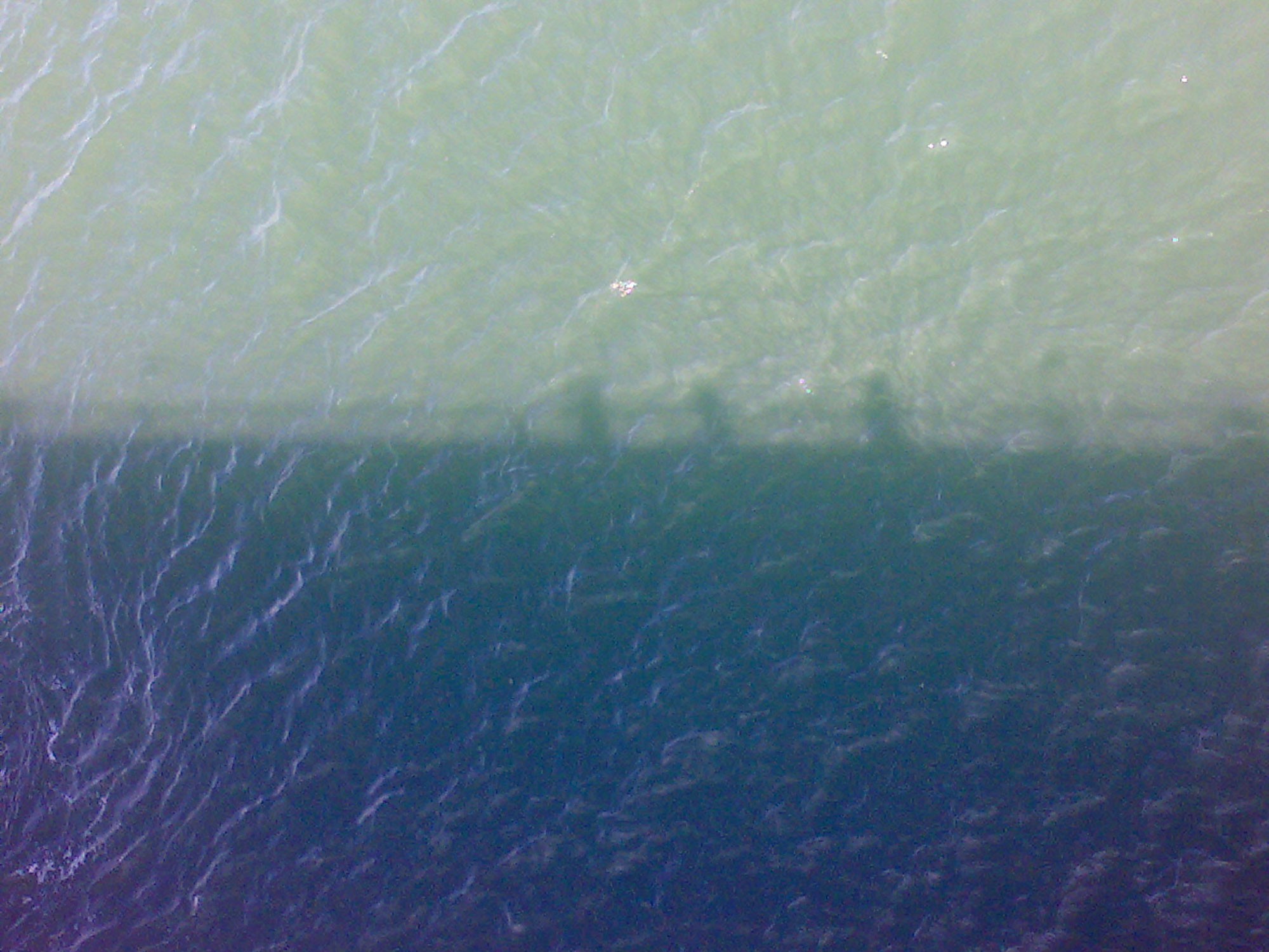 080921, 090506, 100322