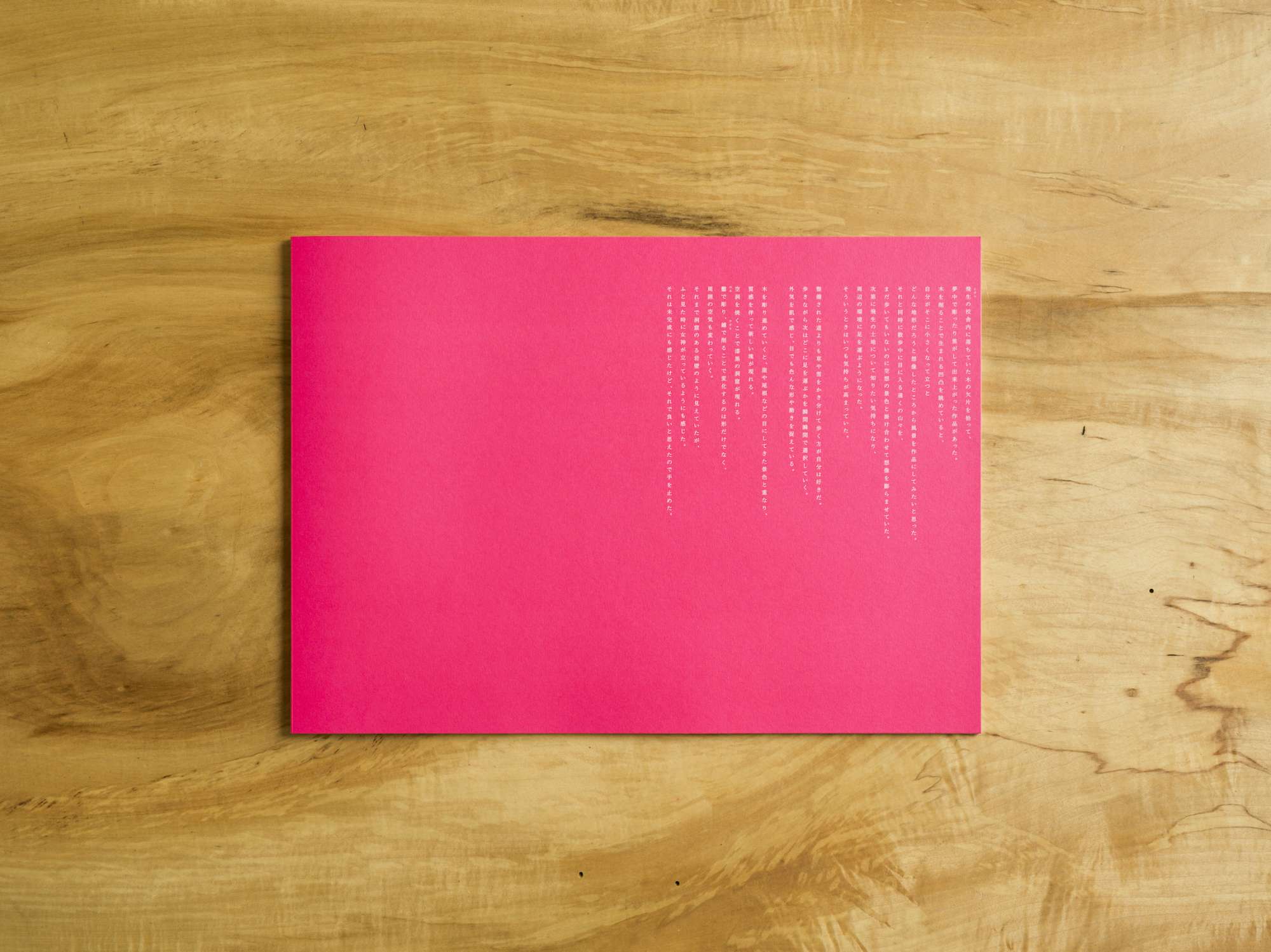 "「国松希根太　地景を刻む」展覧会記録集" Iceberg株式会社