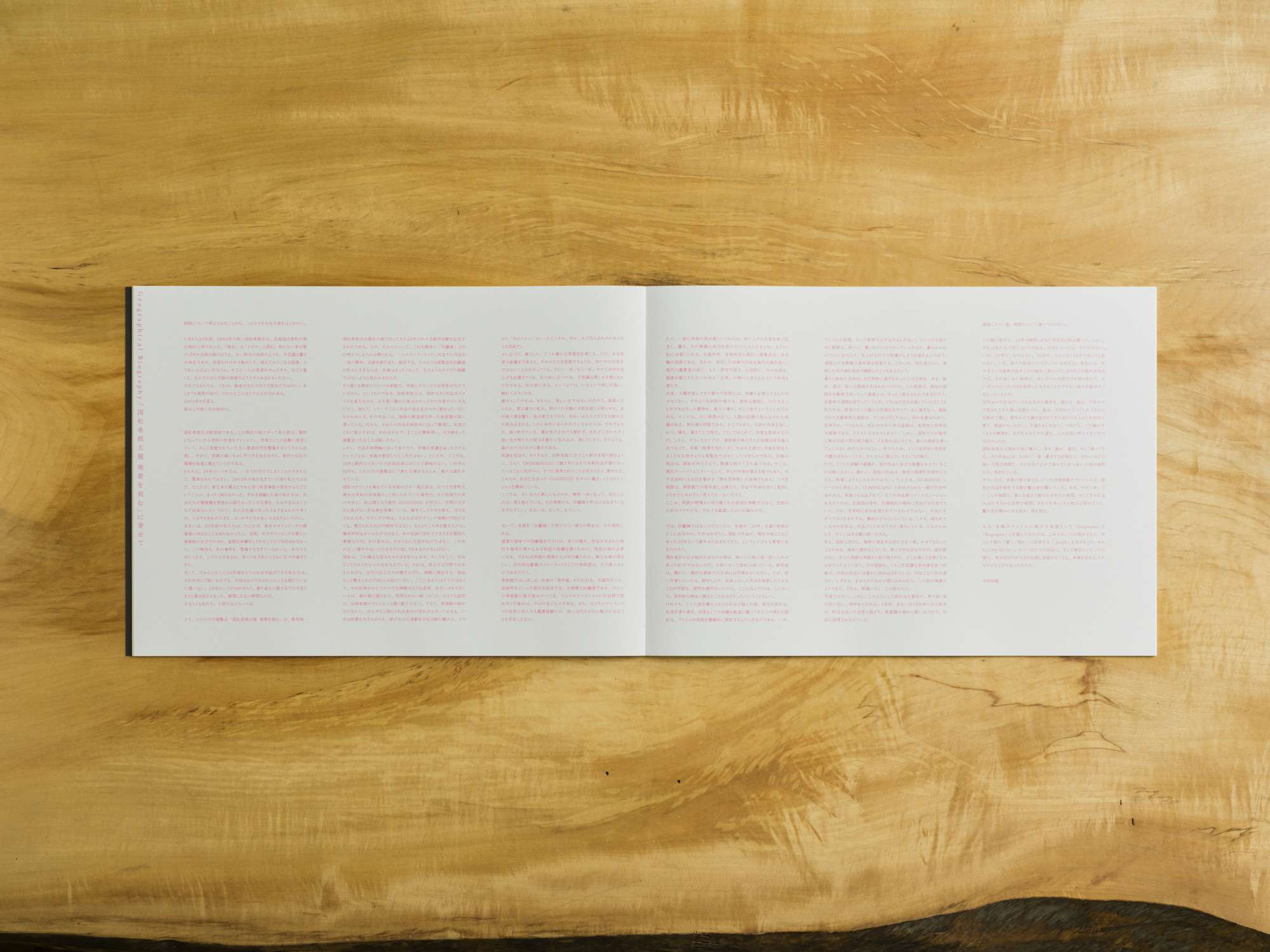 "「国松希根太　地景を刻む」展覧会記録集" Iceberg株式会社