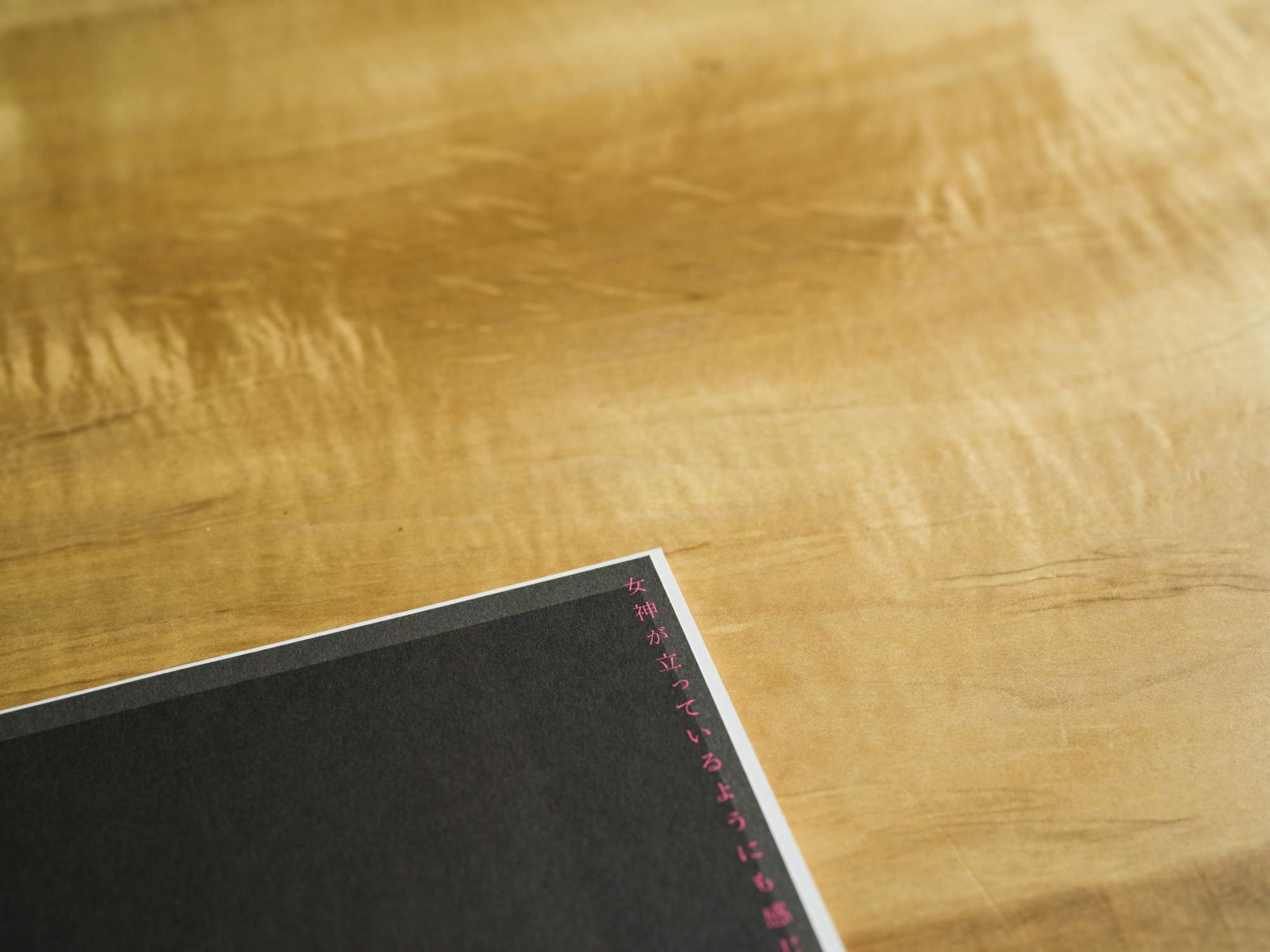 "「国松希根太　地景を刻む」展覧会記録集" Iceberg株式会社