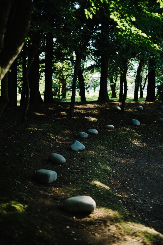 記憶の痕跡と明日の杜