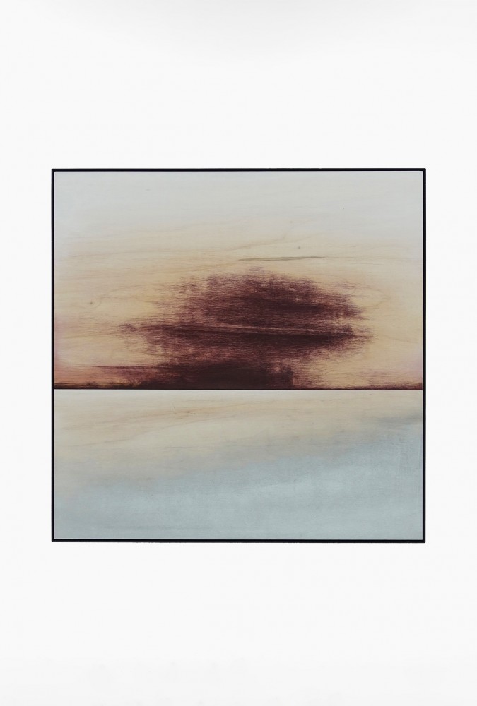 "国松 希根太展"（2019年12月5日−12月11日）