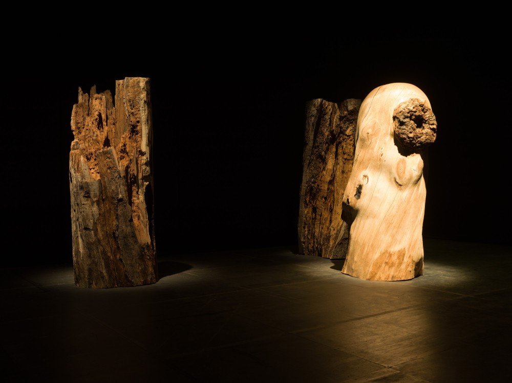 ©札幌国際芸術祭2024, 撮影：藤倉翼