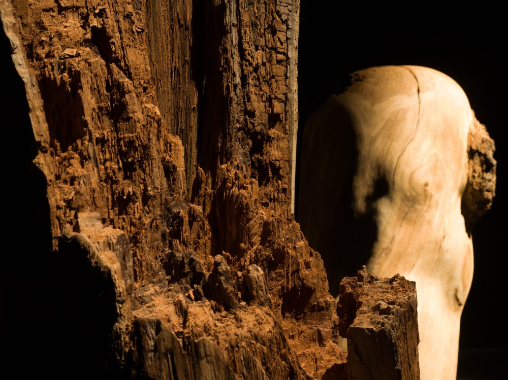 ©札幌国際芸術祭2024, 撮影：藤倉翼