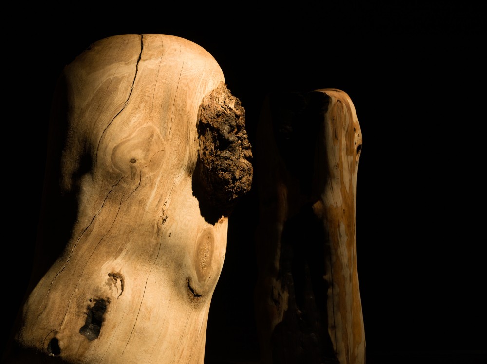 ©札幌国際芸術祭2024, 撮影：藤倉翼