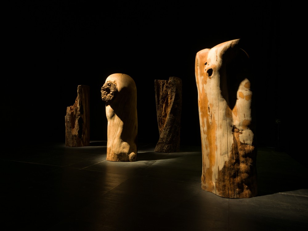 ©札幌国際芸術祭2024, 撮影：藤倉翼