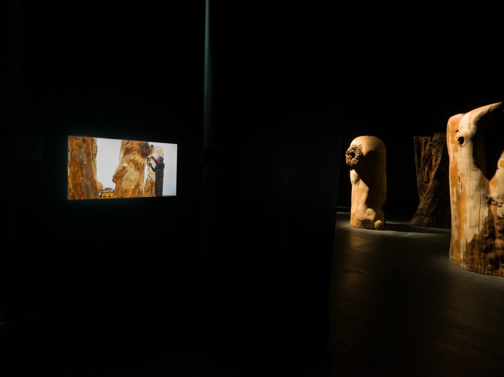 ©札幌国際芸術祭2024, 撮影：藤倉翼