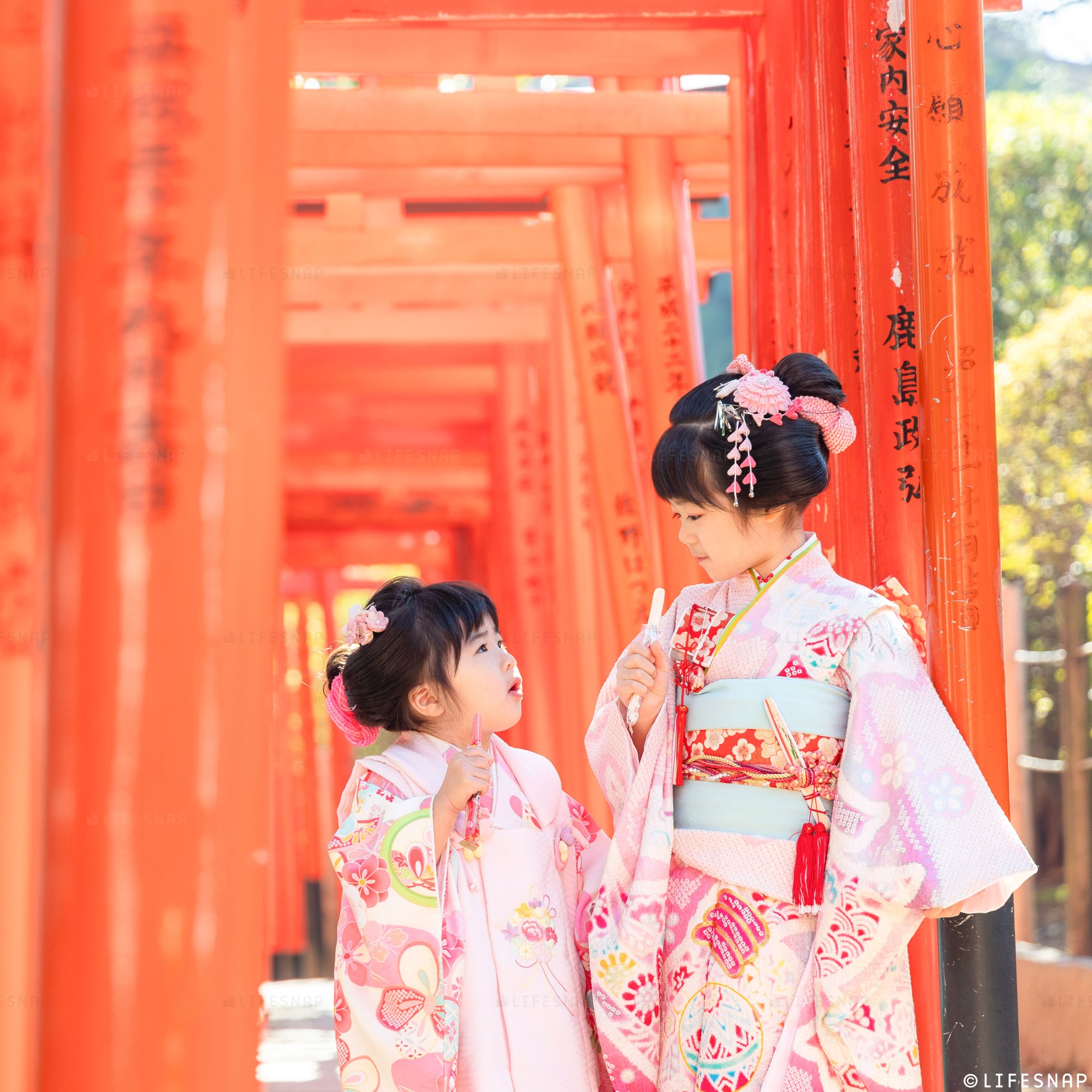 根津神社の七五三ガイドと写真撮影 【2026年最新版】 | News＆Blog