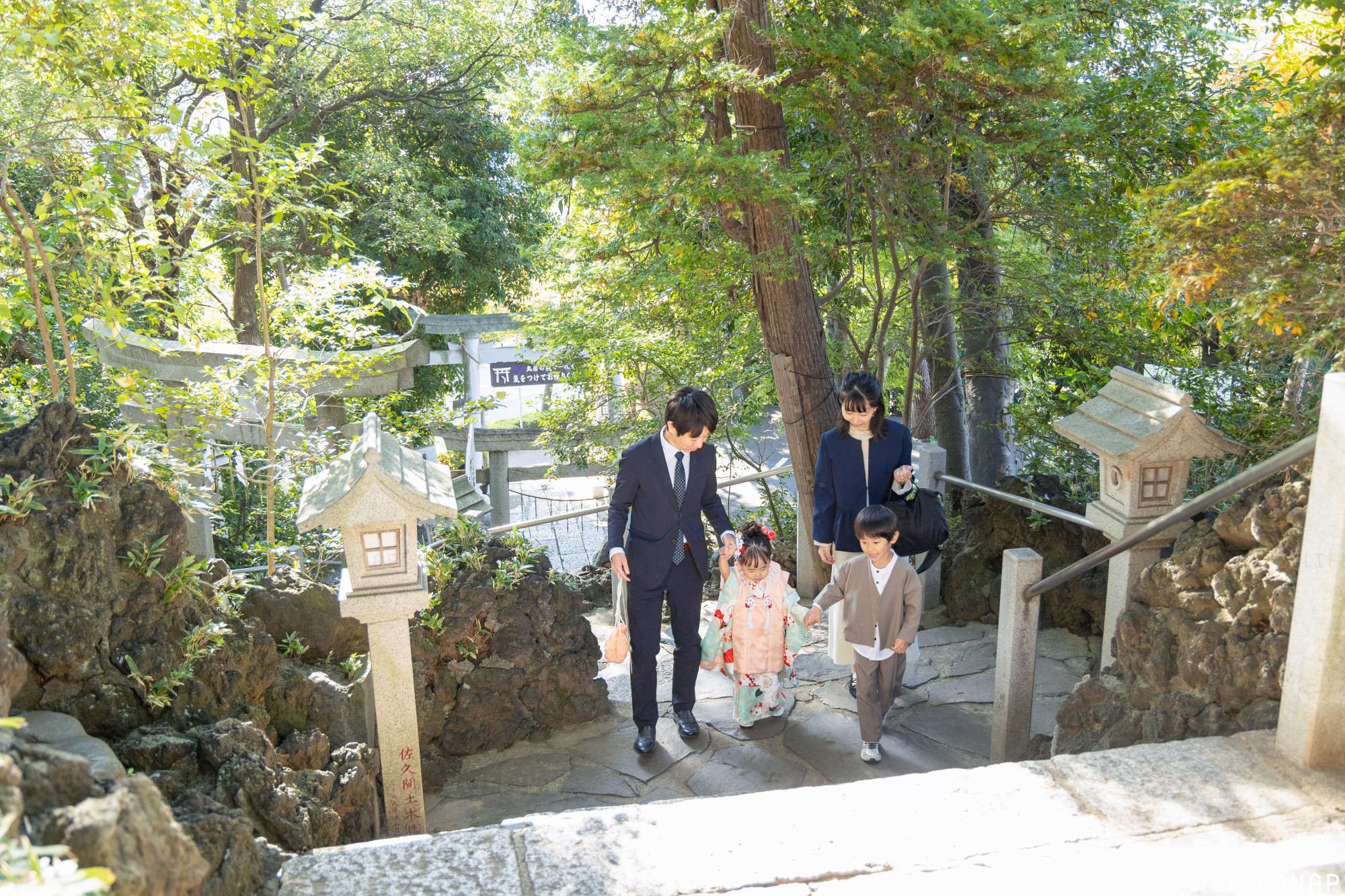 秋の出張撮影・最新のご予約状況のご案内、混雑回避の『平日』や『午後』参拝のすすめ〜LIFESNAP便り2026年9月号〜の写真 1