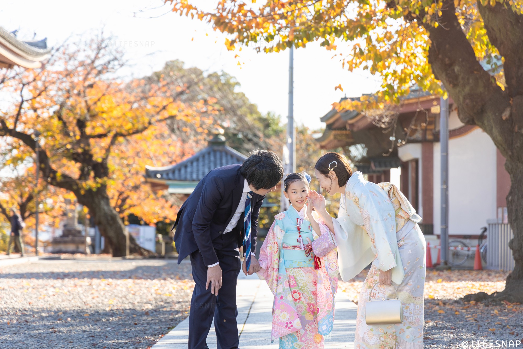 秋の出張撮影・最新のご予約状況のご案内、混雑回避の『平日』や『午後』参拝のすすめ〜LIFESNAP便り2026年9月号〜の写真