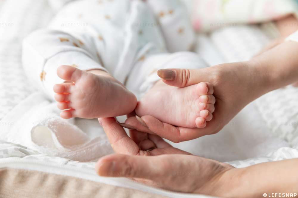 初参りとお食い初めの出張撮影@増上寺／東京都／港区