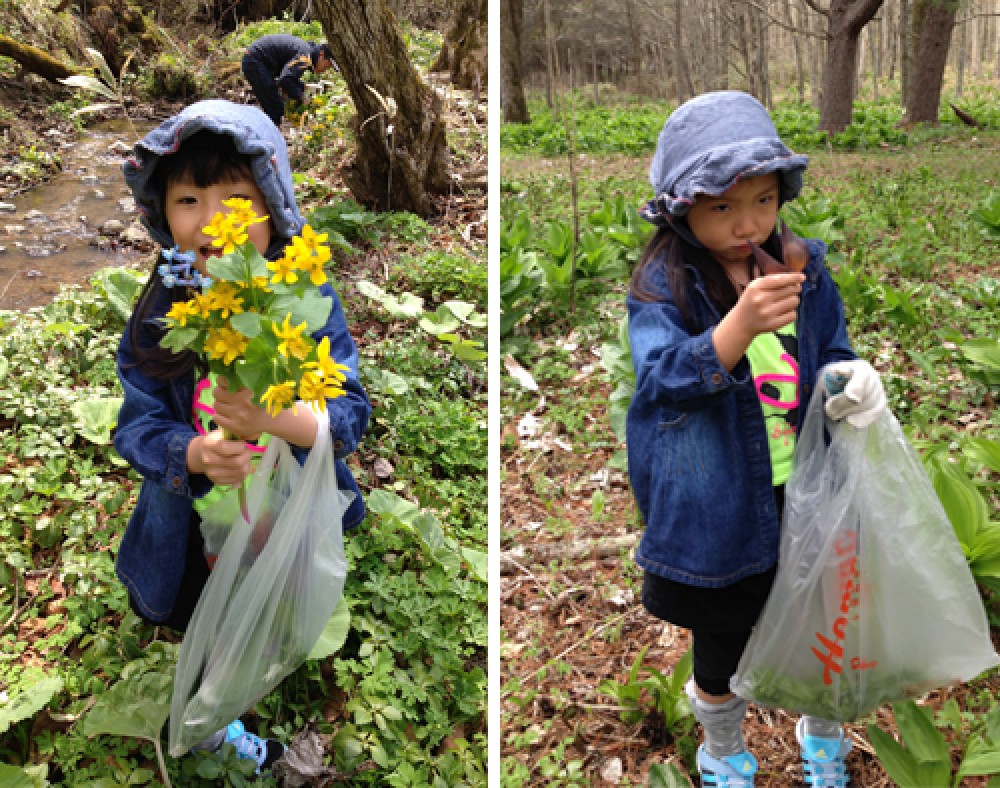 - 花を摘みにきたと思っているお子さんはテンションＭＡＸ。&nbsp;大人は食料にまっしぐら。 -  - 