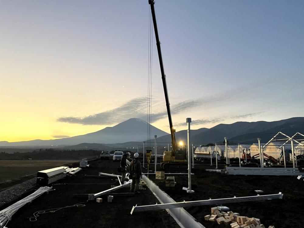 オランダ式パプリカ栽培ガラス温室｜GALLERY｜LEAF｜株式会社リーフ