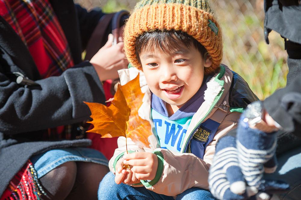  - こんな大きなカエデを見つけたよ！