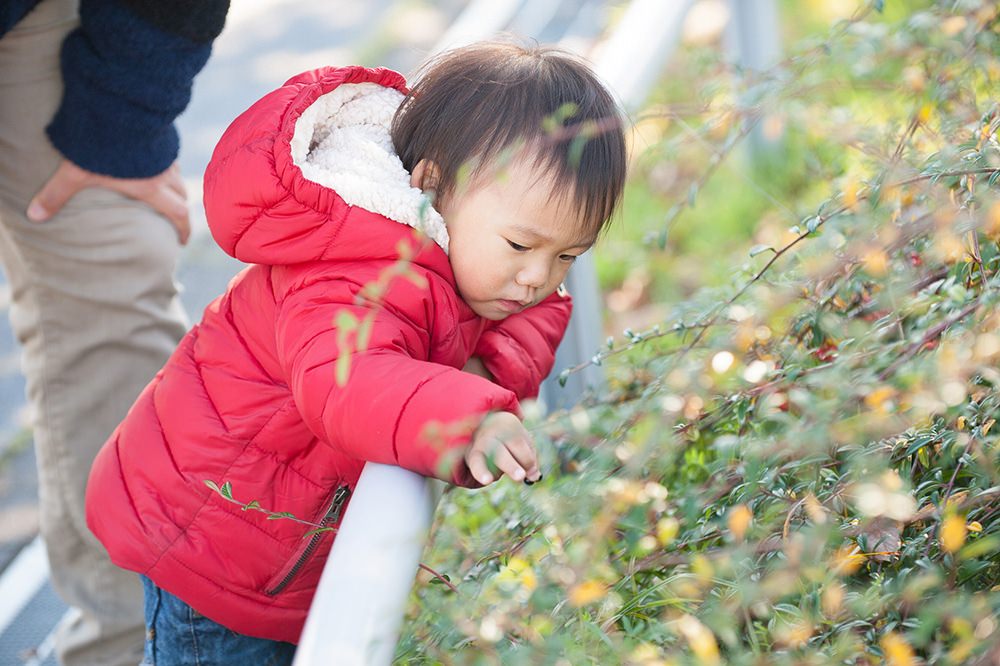  - 歩く途中　木の実発見！