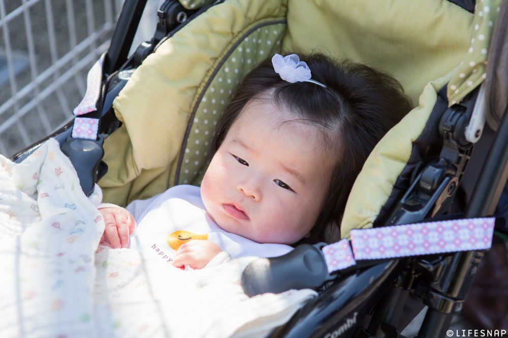 - 本日、主役の妹ちゃん。前髪をちょこんと結んでおめかしをして登場です - -