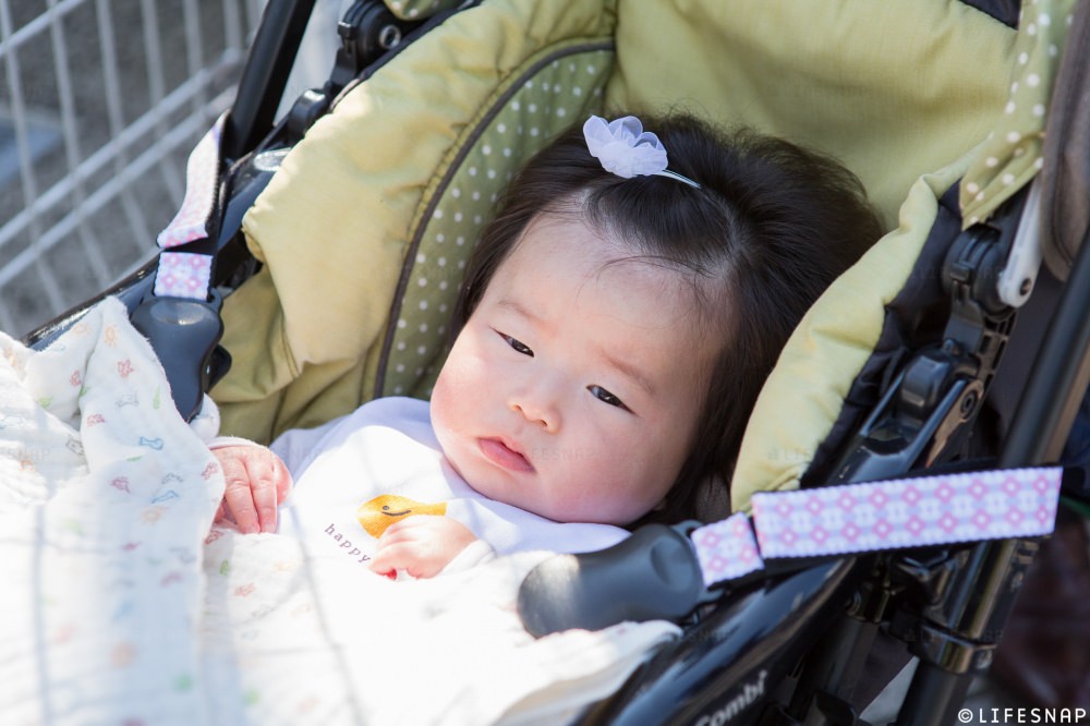  - 本日、主役の妹ちゃん。前髪をちょこんと結んでおめかしをして登場です -  - 