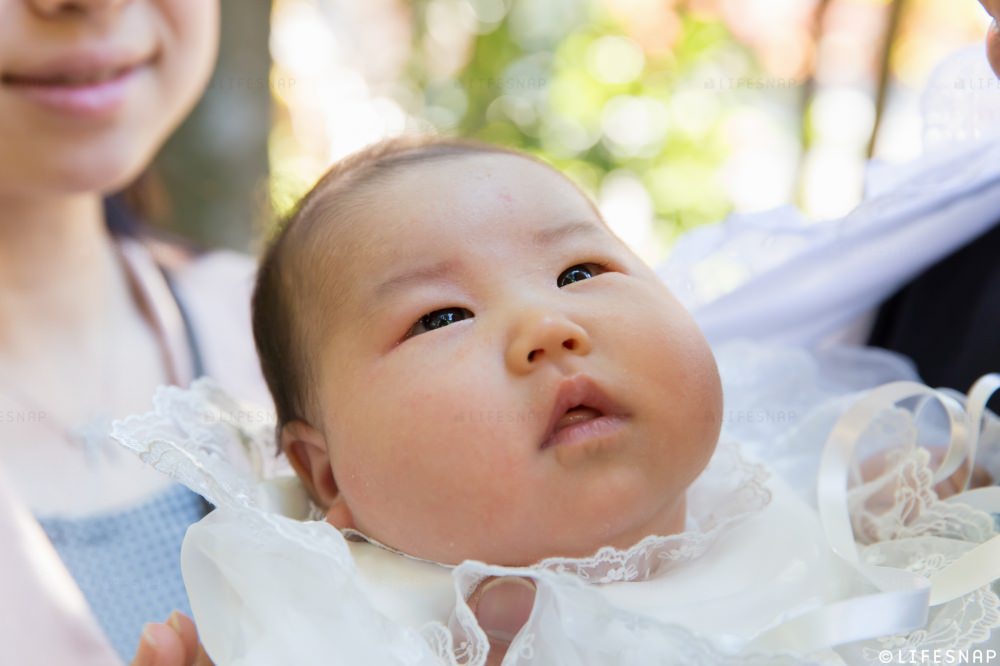  - きらきらのおめめと、ぷっくりしたほっぺのあかちゃん -  - 