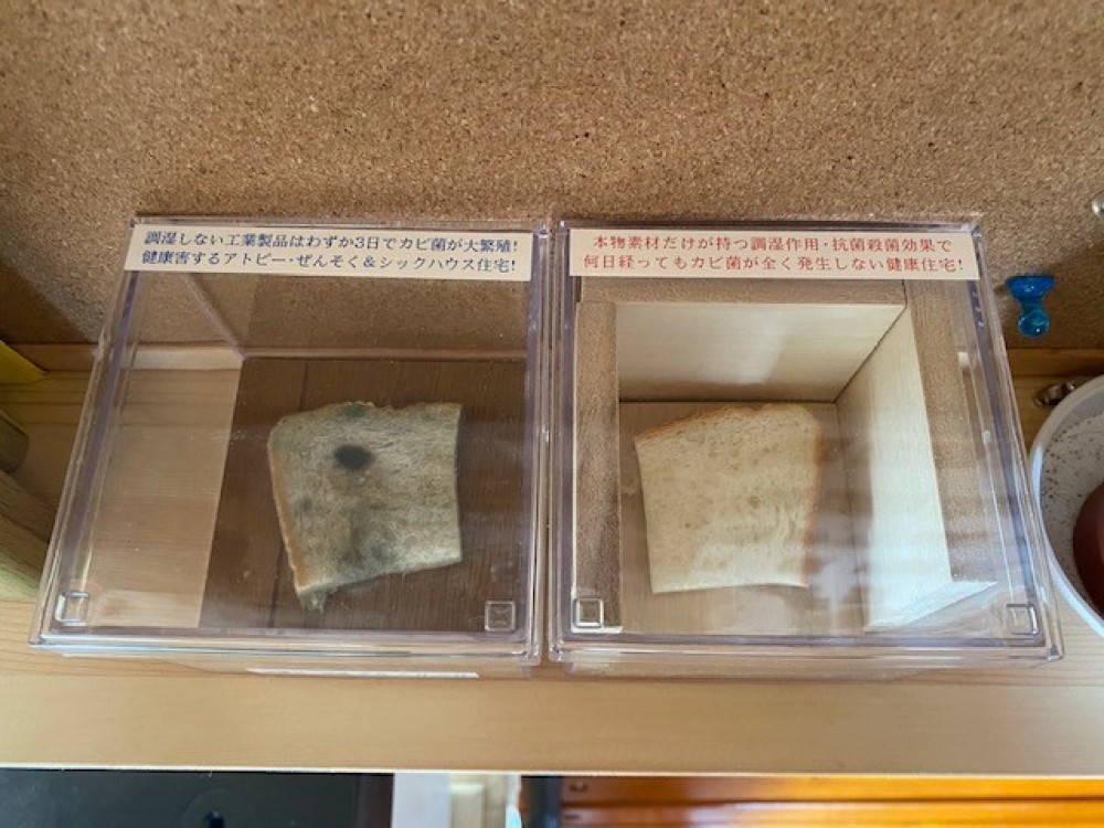 実験!木の調質効果! - 霧吹きで湿らした食パンを一般的なフロアーの箱と天然木を敷き詰めた箱に入れて一か月経過。普通のフロアーの箱(一般住宅)のパンには【カビ】が発生!天然木を敷き詰めた(自然素材住宅)のパンにはカビは発生しませんでした。 - -