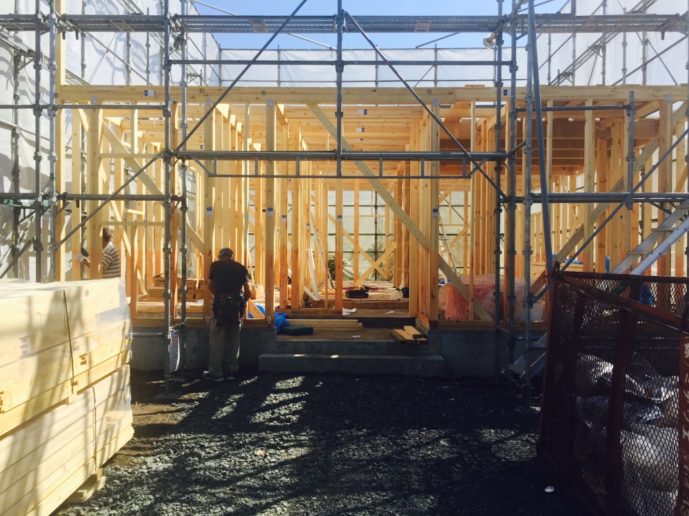  - 純粋な状態 -  - 