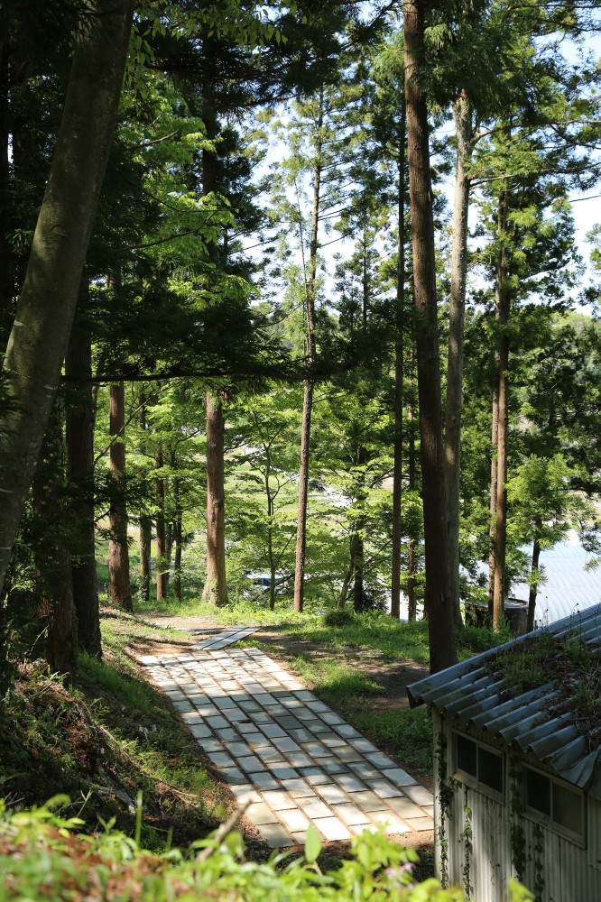時の参道／酒蔵の建築群 - 福島県郡山市 / 2019 - Timeless Approach to the shrine  - Koriyama,Fukushima / 2019