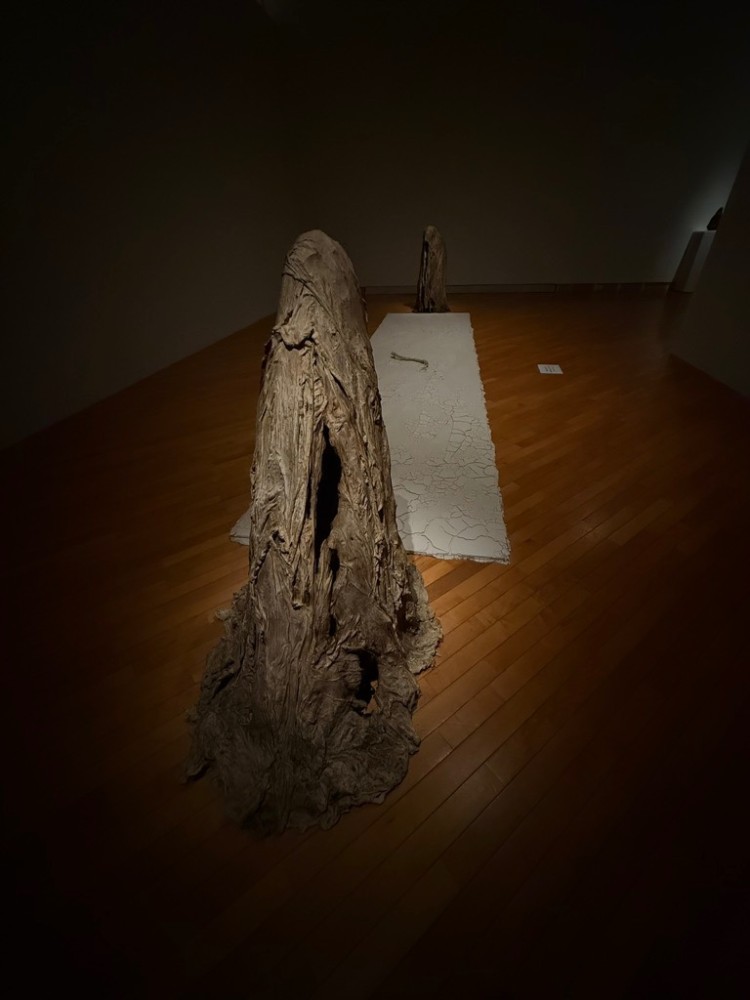 札幌美術展 [下沢敏也 Origin-土の命脈]　　2025.9.13~11.3  札幌芸術の森美術館