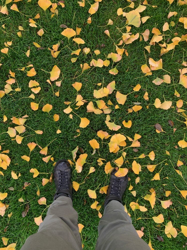 畑日記 vol.4: 丁寧が全てをかねるわけじゃない