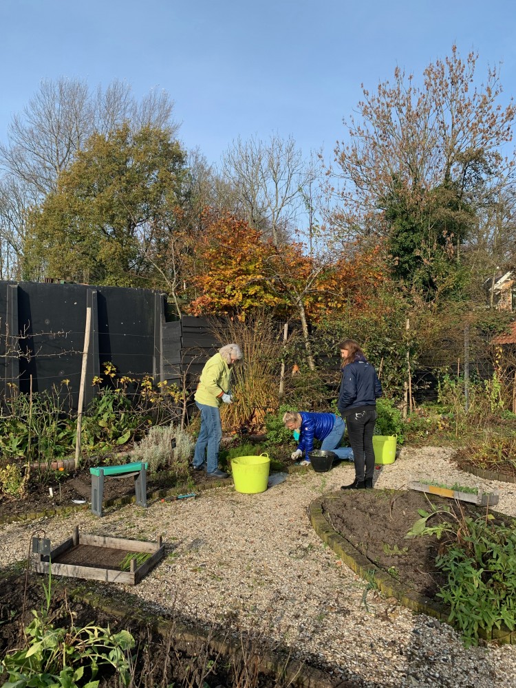 畑日記 vol.4: 丁寧が全てをかねるわけじゃない