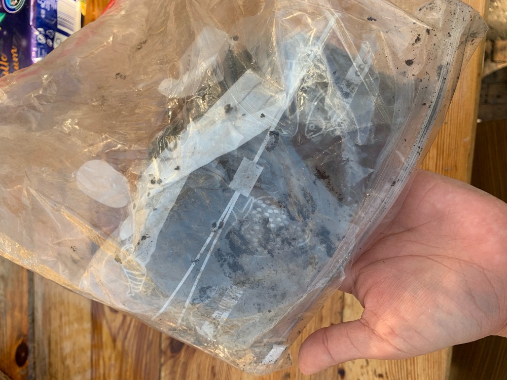 畑日記 vol.5: 彼が彼女になった？！