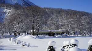 12月になっていた、2025年ももう終わりに…