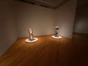 札幌美術展 [下沢敏也 Origin-土の命脈]　　2025.9.13~11.3  札幌芸術の森美術館